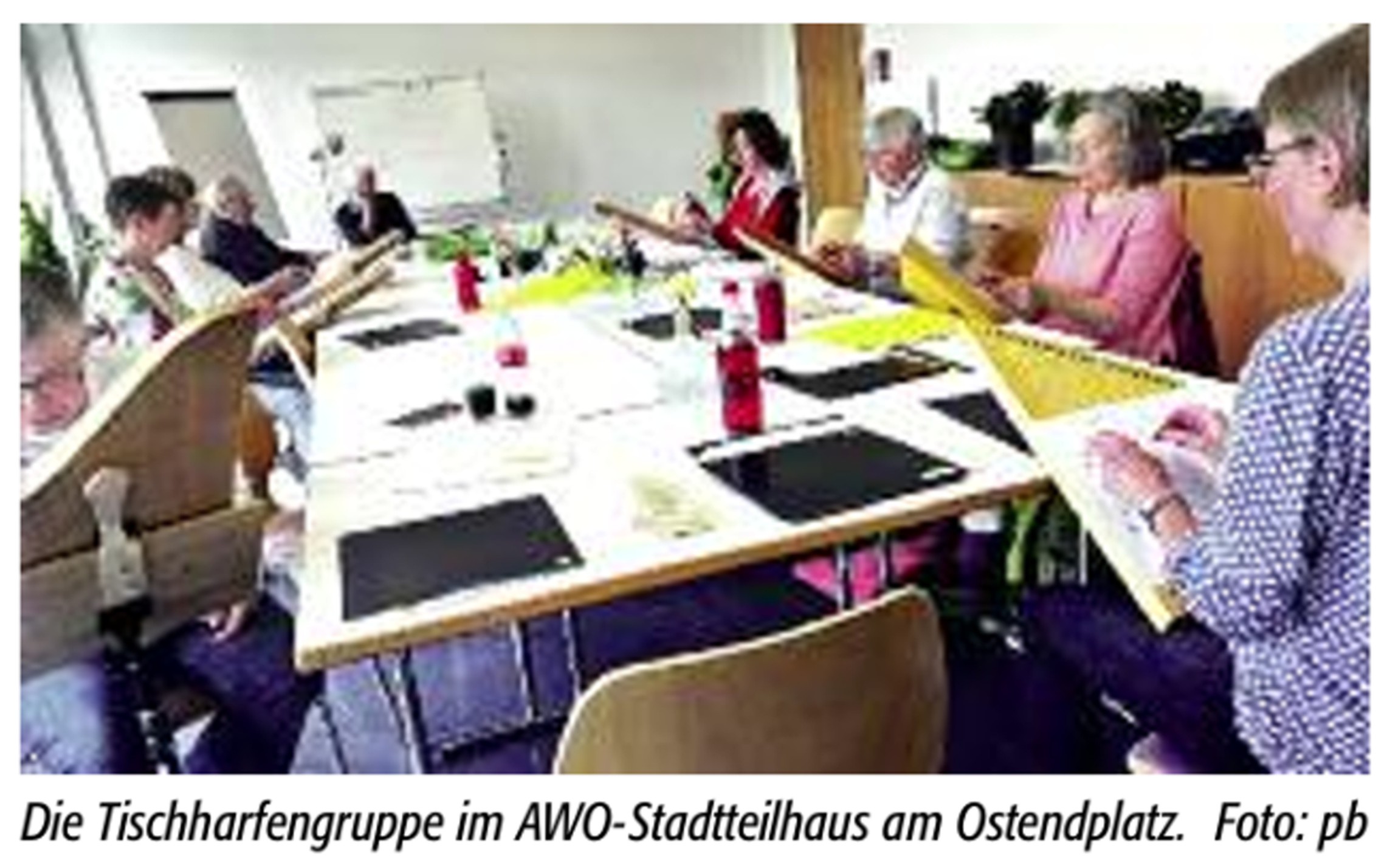 Einleitungsbild Zupfen nach Zahlen - Artikel über Tischharfengruppe im Stadtteilhaus